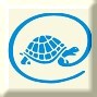 Tortula online Logo