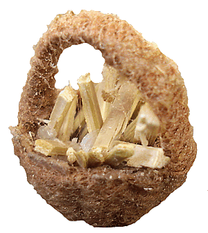 Feuerholz fr den Kachelofen